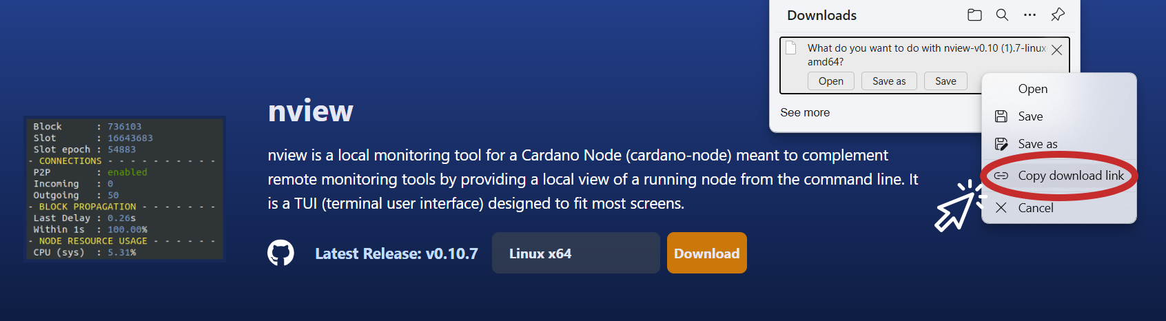 nview-blinklabs-site-copy-link