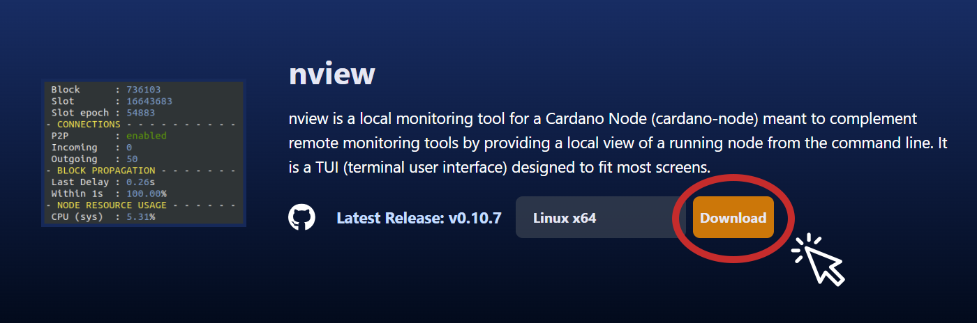 nview-blinklabs-site-download